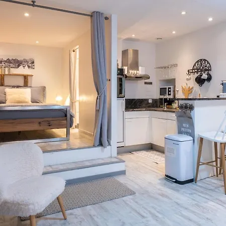 Un Alpin Chaleureux Dans Le Coeur D Avec 2 Vélos Appartement Annecy