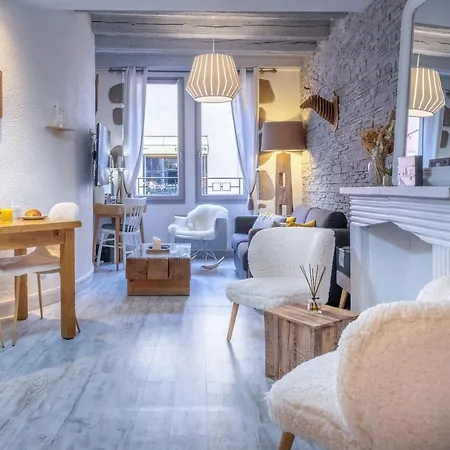 Un Alpin Chaleureux Dans Le Coeur D Avec 2 Vélos Appartement Annecy